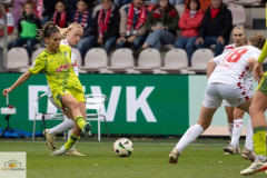 6.-Spltg.-Heim-Hoffenheim-0zu3-80-min