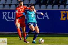 15.-Spltg-in-Freiburg-2zu0-100-min