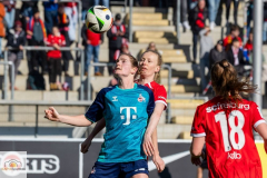 15.-Spltg-in-Freiburg-2zu0-93-min