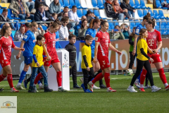 17.-Spltg.-Hoffenheim-FC-5zu1-22-min