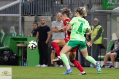 min-3.-Spltg-WOB-Fc-5zu1-89