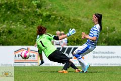 MSV-Duisburg-VfL-Sindelfingen-12-von-34_mini