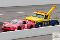DSC_7434_mini