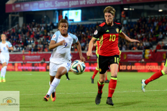 Belgien-England-12-von-19