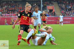 Belgien-England-8-von-19