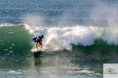 DSC_6135_mini