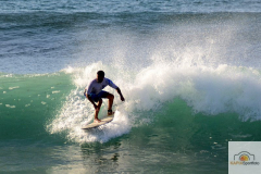 DSC_6151_mini