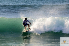 DSC_6153_mini