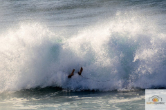 DSC_6161_mini