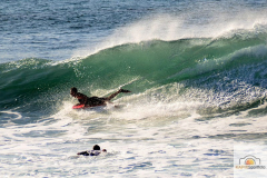DSC_6173_mini