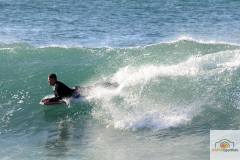 DSC_6215_mini