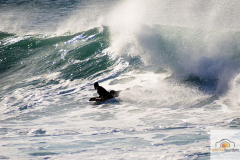 DSC_6226_mini
