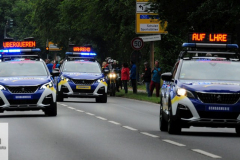 DSC_6780_mini
