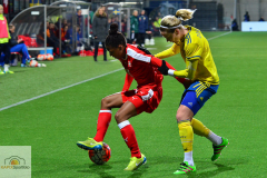Schweden-Schweiz-21_mini