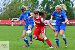 VfL-Bochum-1.-FC-Koeln-11-von-21