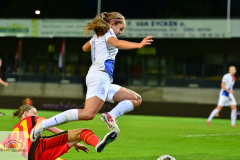 Belgien-Niederlande-10-von-11