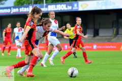 Belgien-Niederlande-2-von-11
