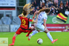 Belgien-Niederlande-5-von-11