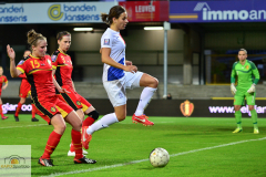Belgien-Niederlande-7-von-11