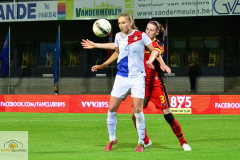 Belgien-Niederlande-8-von-11
