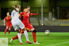 Belgien-Niederlande-9-von-11
